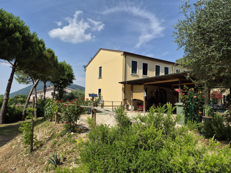 immagine annuncio 2 di 10