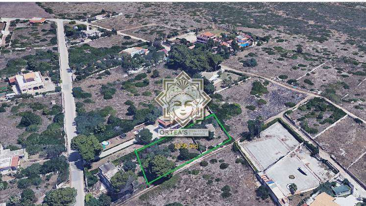 immagine annuncio 1 di 7