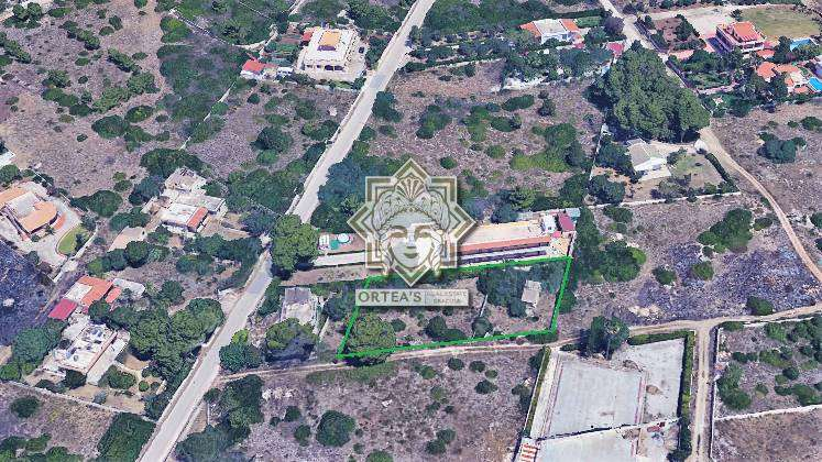 immagine annuncio 3 di 7