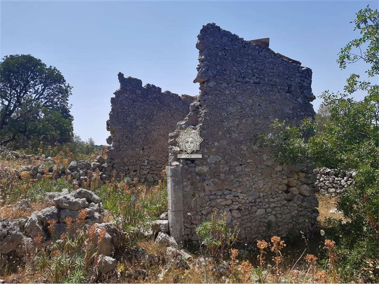 immagine annuncio 4 di 6