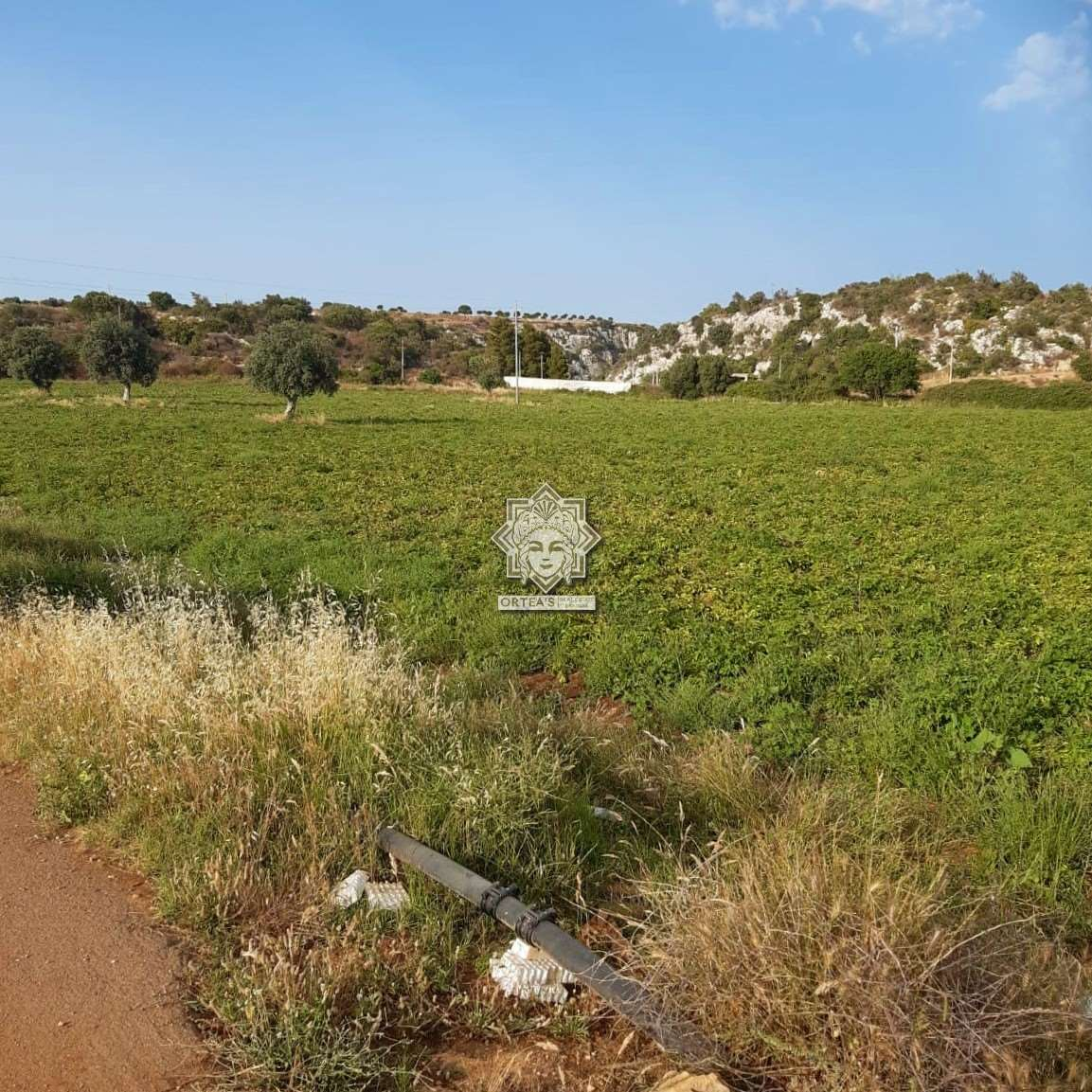 immagine annuncio 5 di 6