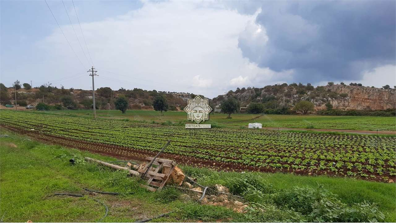 immagine annuncio 1 di 6