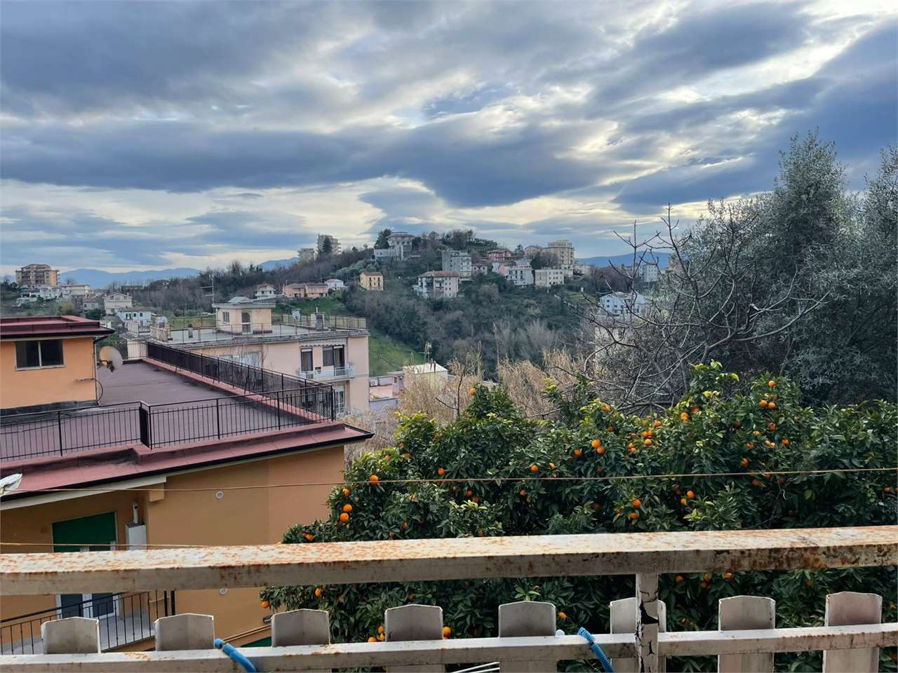 immagine annuncio 3 di 10