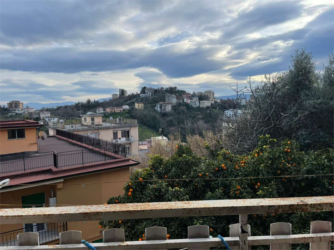 immagine annuncio 2 di 10