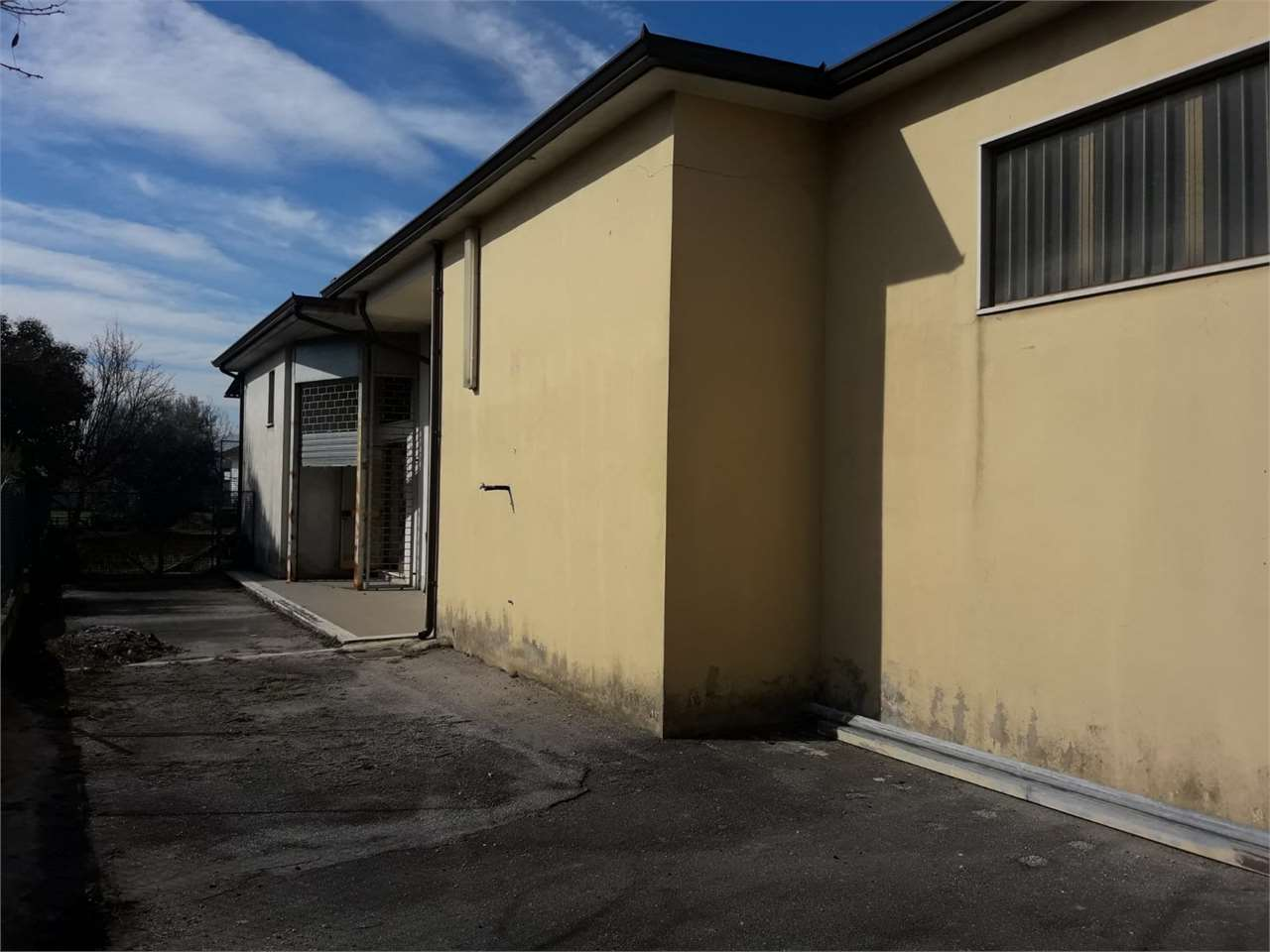 immagine annuncio 2 di 10