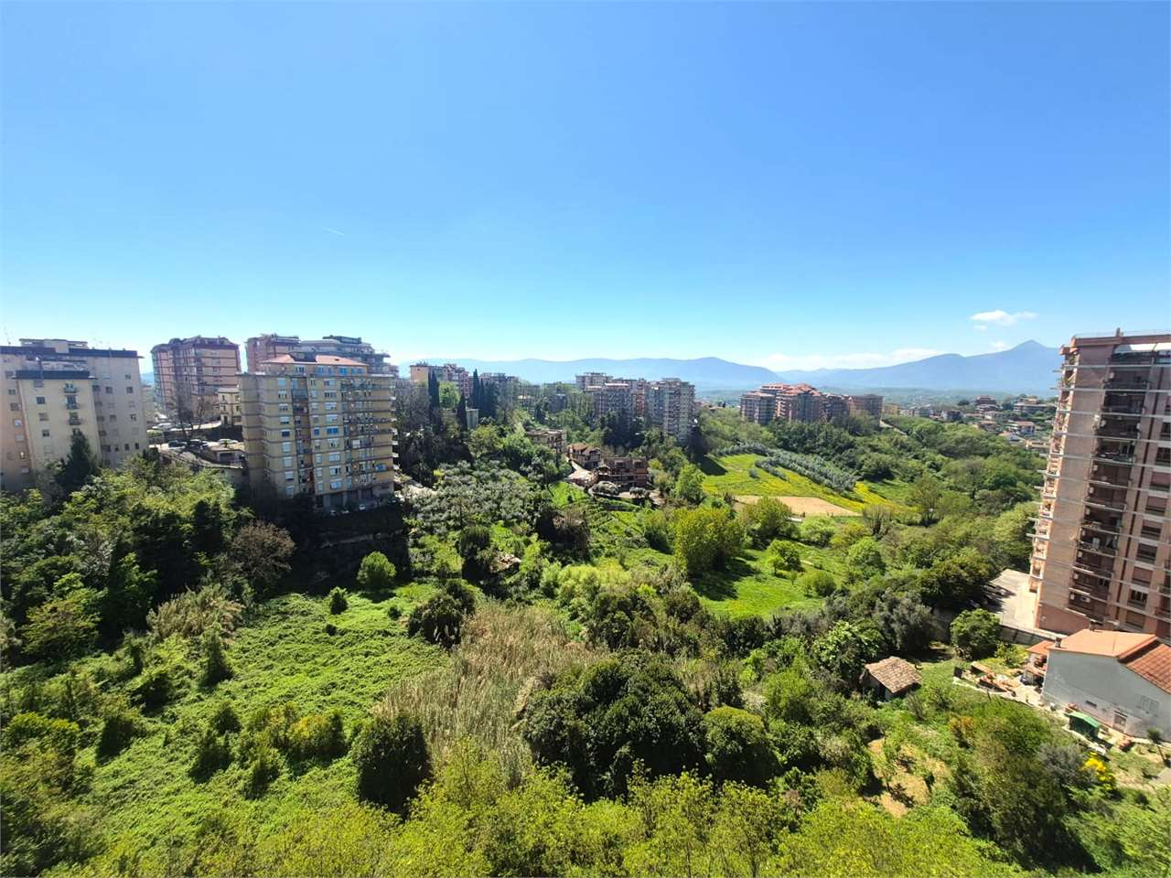 immagine annuncio 1 di 10