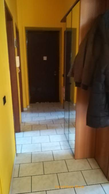 immagine annuncio 1 di 7