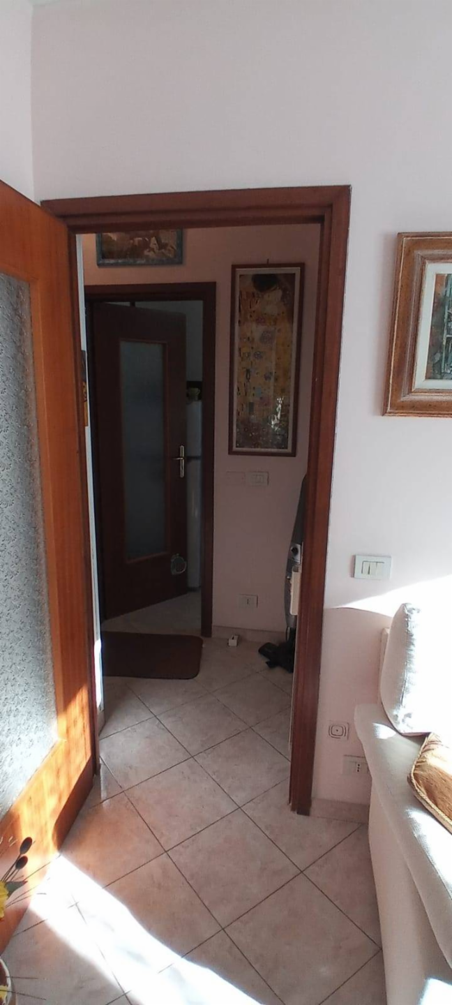 immagine annuncio 3 di 7