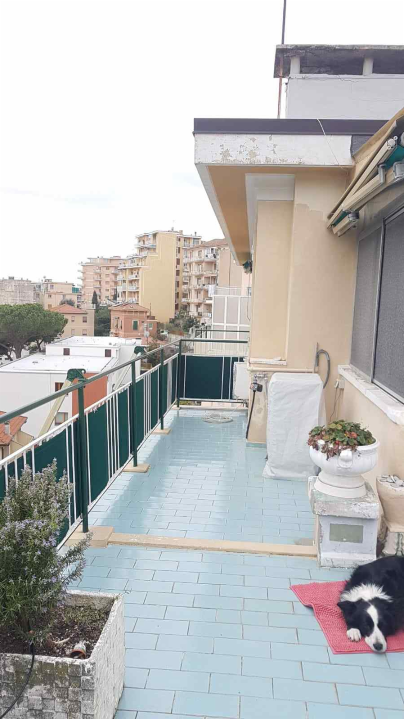 immagine annuncio 2 di 8