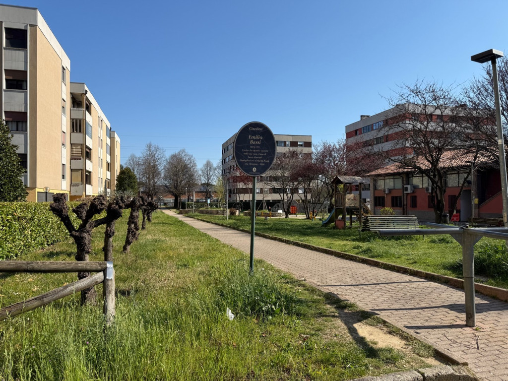 immagine annuncio 4 di 10