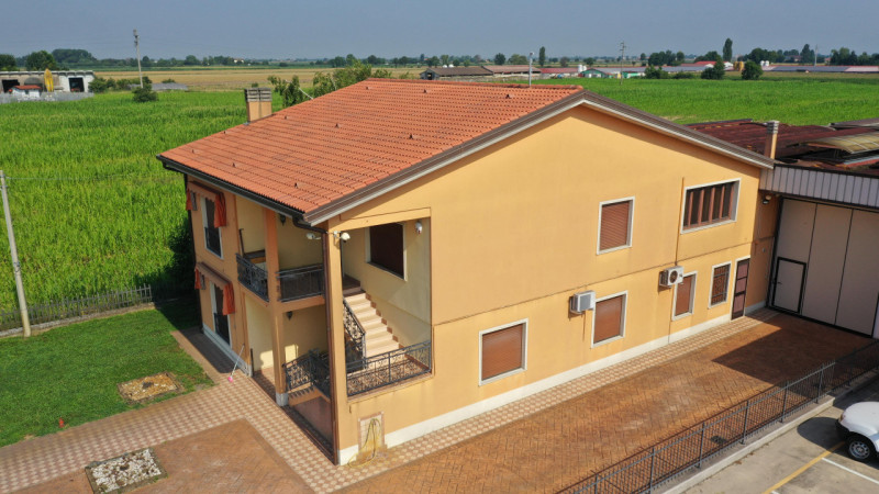 immagine annuncio 5 di 7