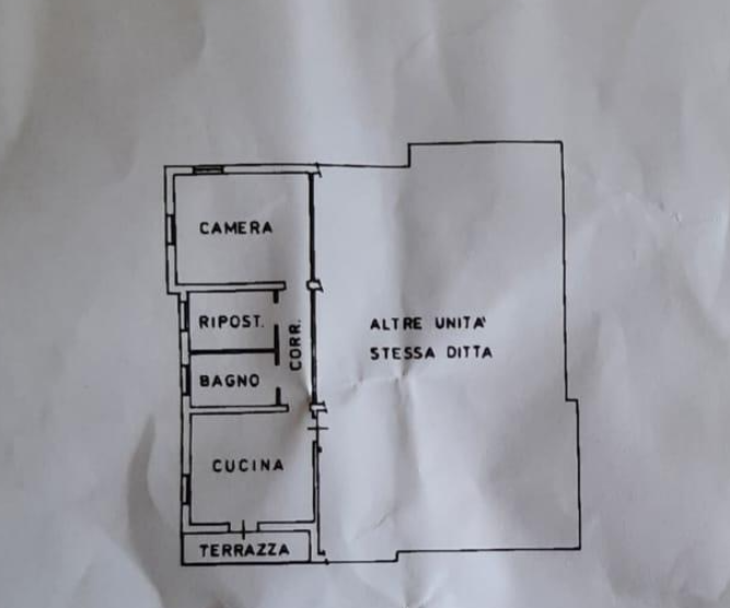 immagine annuncio 9 di 10