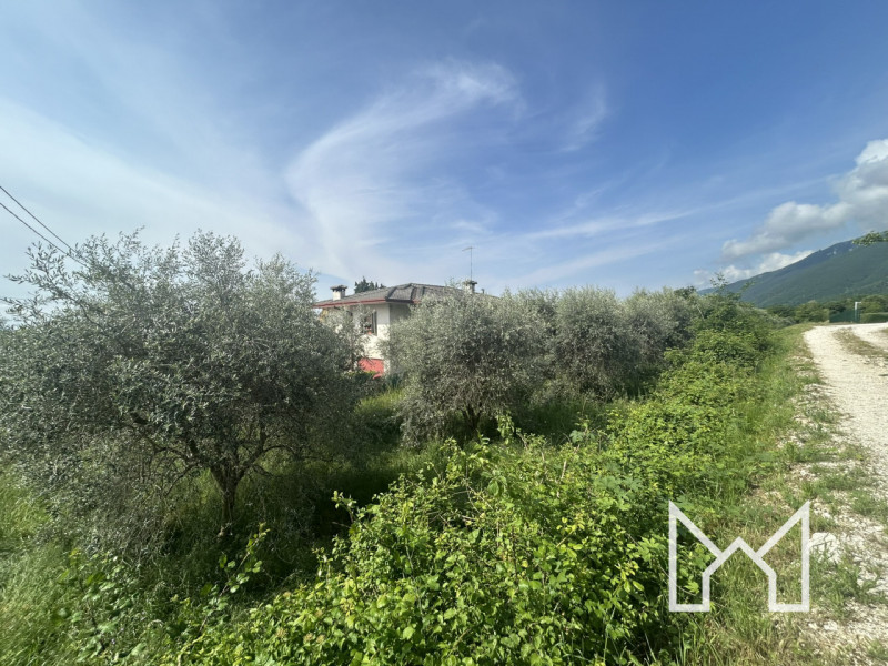 immagine annuncio 4 di 7