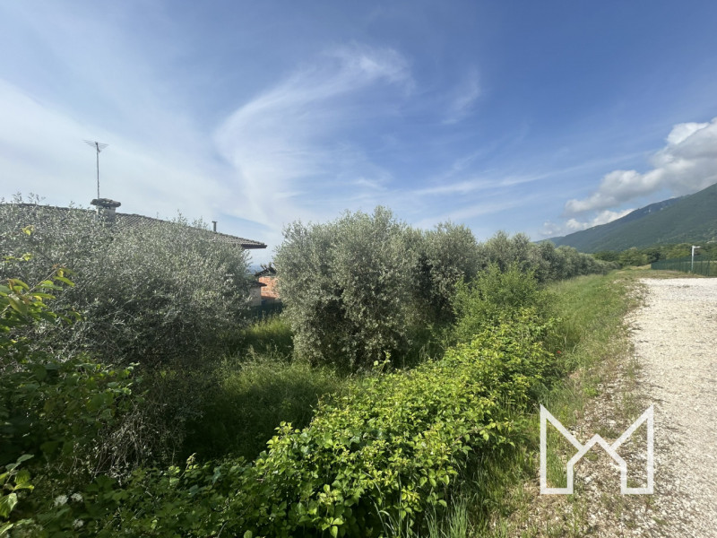 immagine annuncio 2 di 7