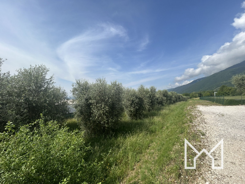 immagine annuncio 5 di 7