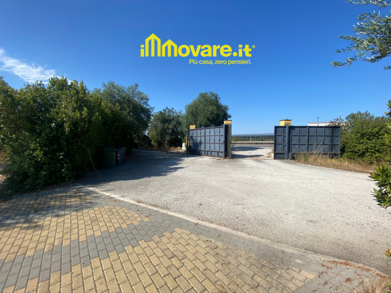 immagine annuncio 5 di 10