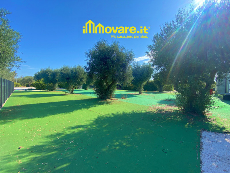 immagine annuncio 3 di 10