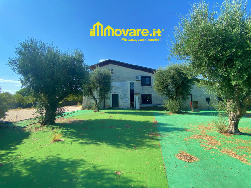 immagine annuncio 2 di 10