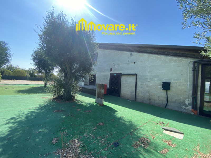 immagine annuncio 9 di 10