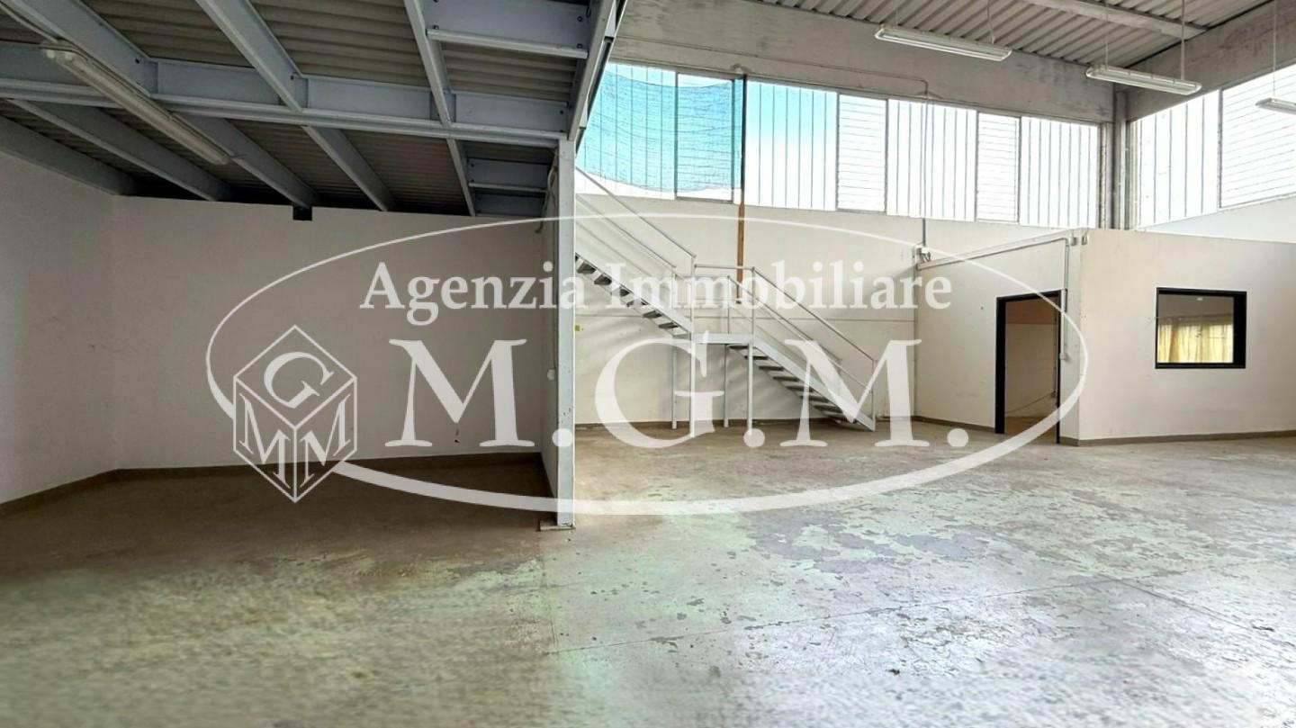 immagine annuncio 4 di 6