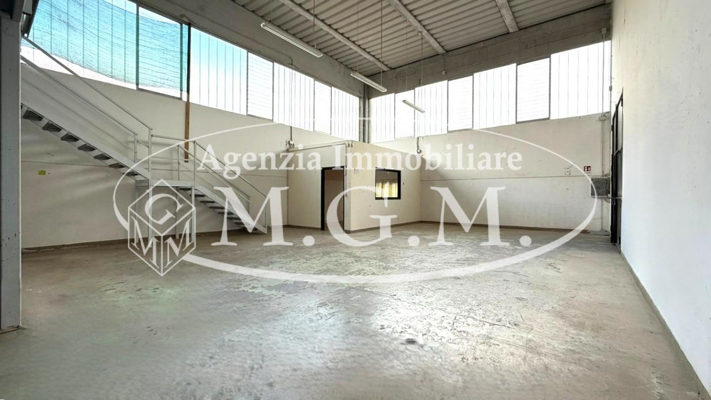 immagine annuncio 5 di 6