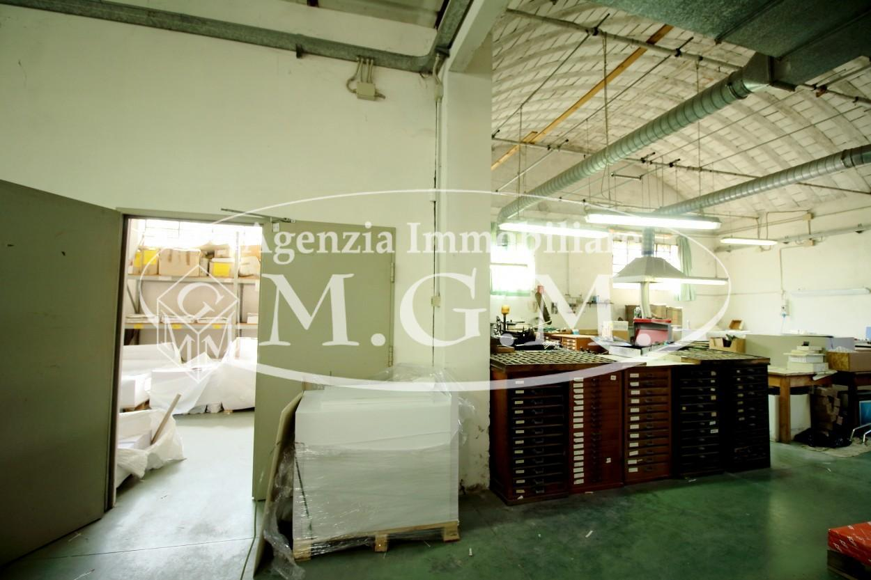 immagine annuncio 5 di 10