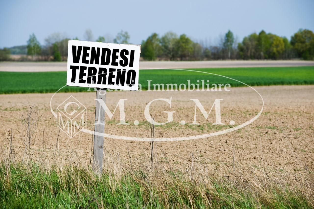 terreno agricolo in vendita a Castelfranco di Sotto