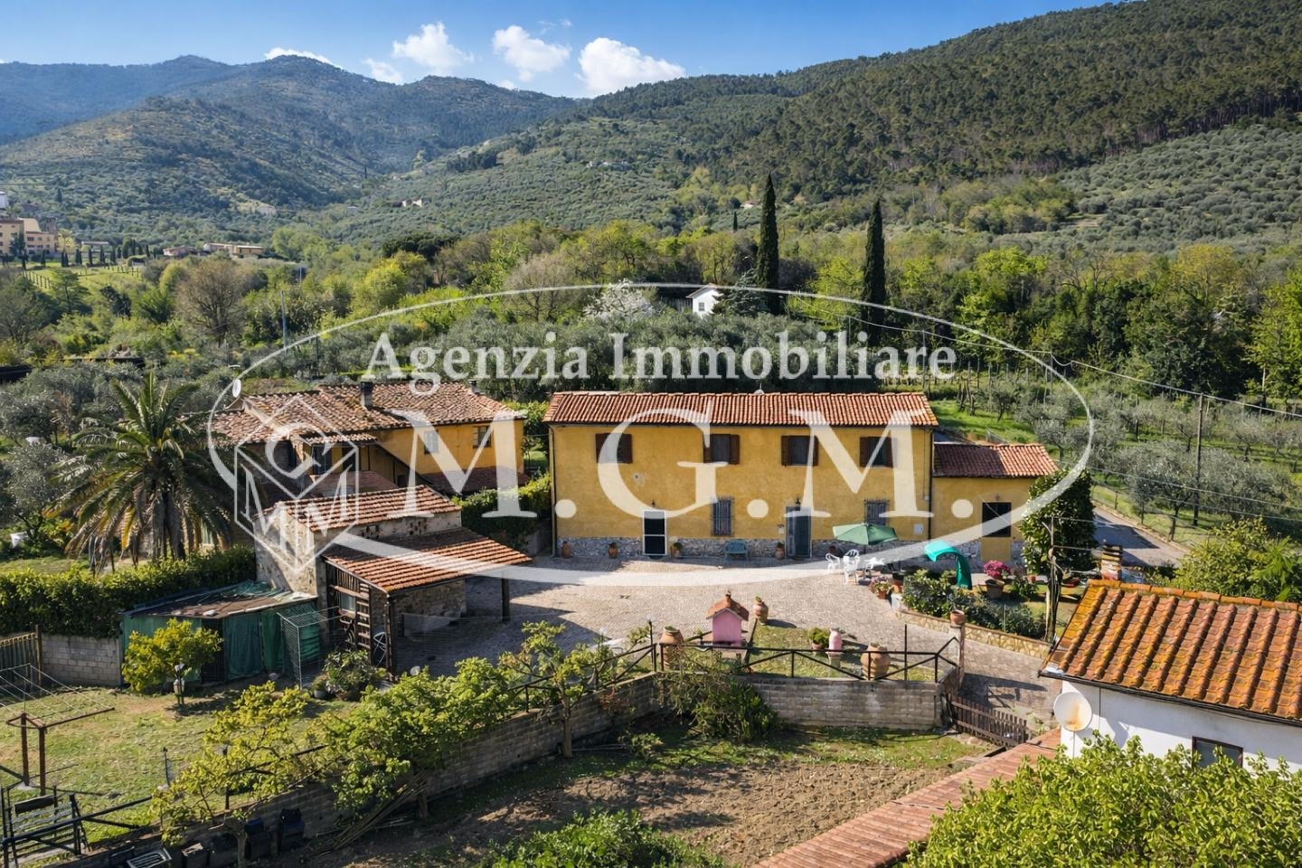 immagine annuncio 1 di 10