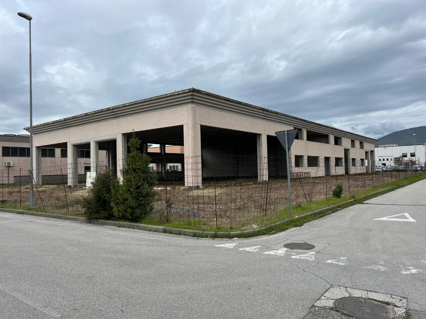 immagine annuncio 2 di 8