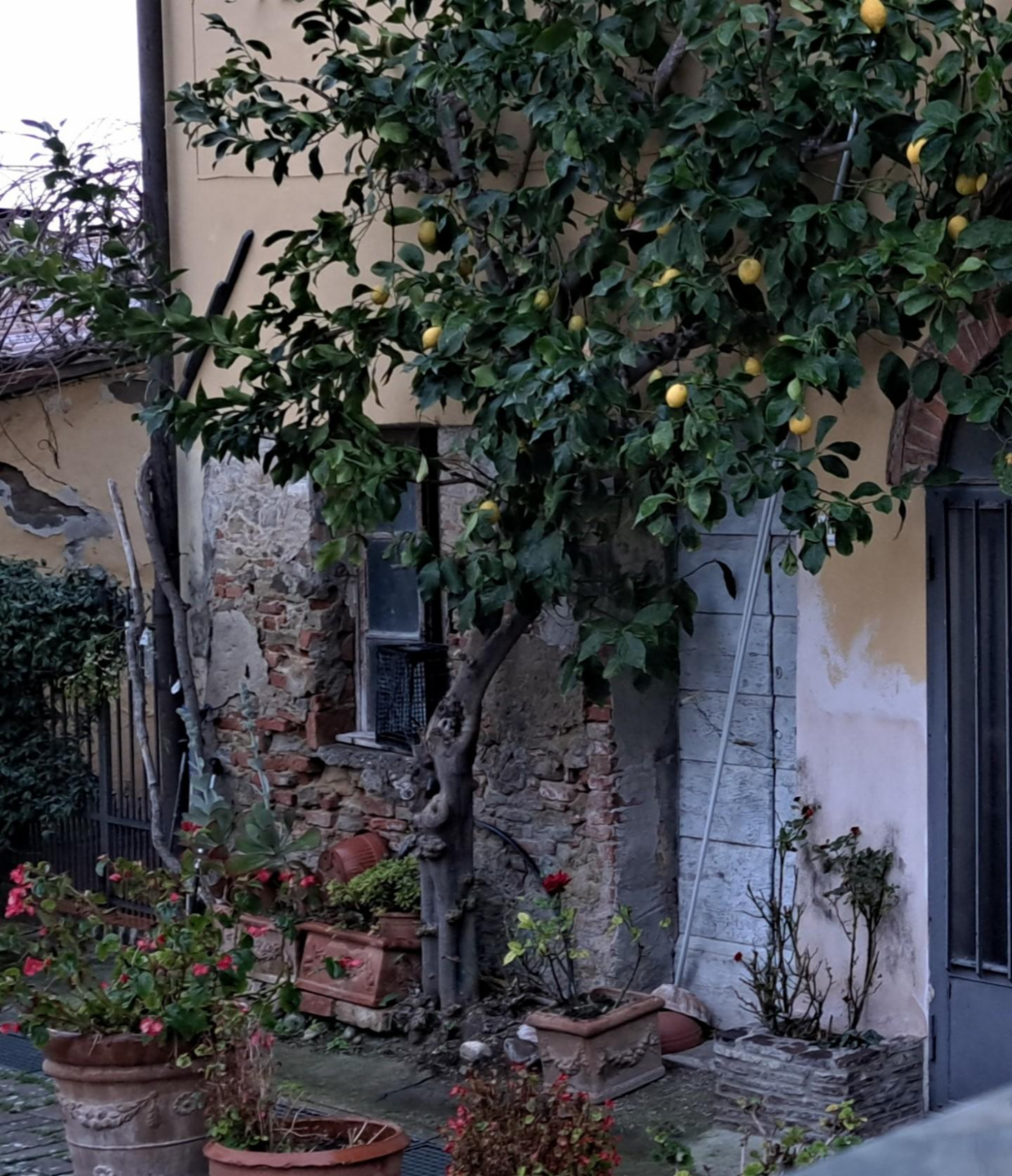 immagine annuncio 4 di 10