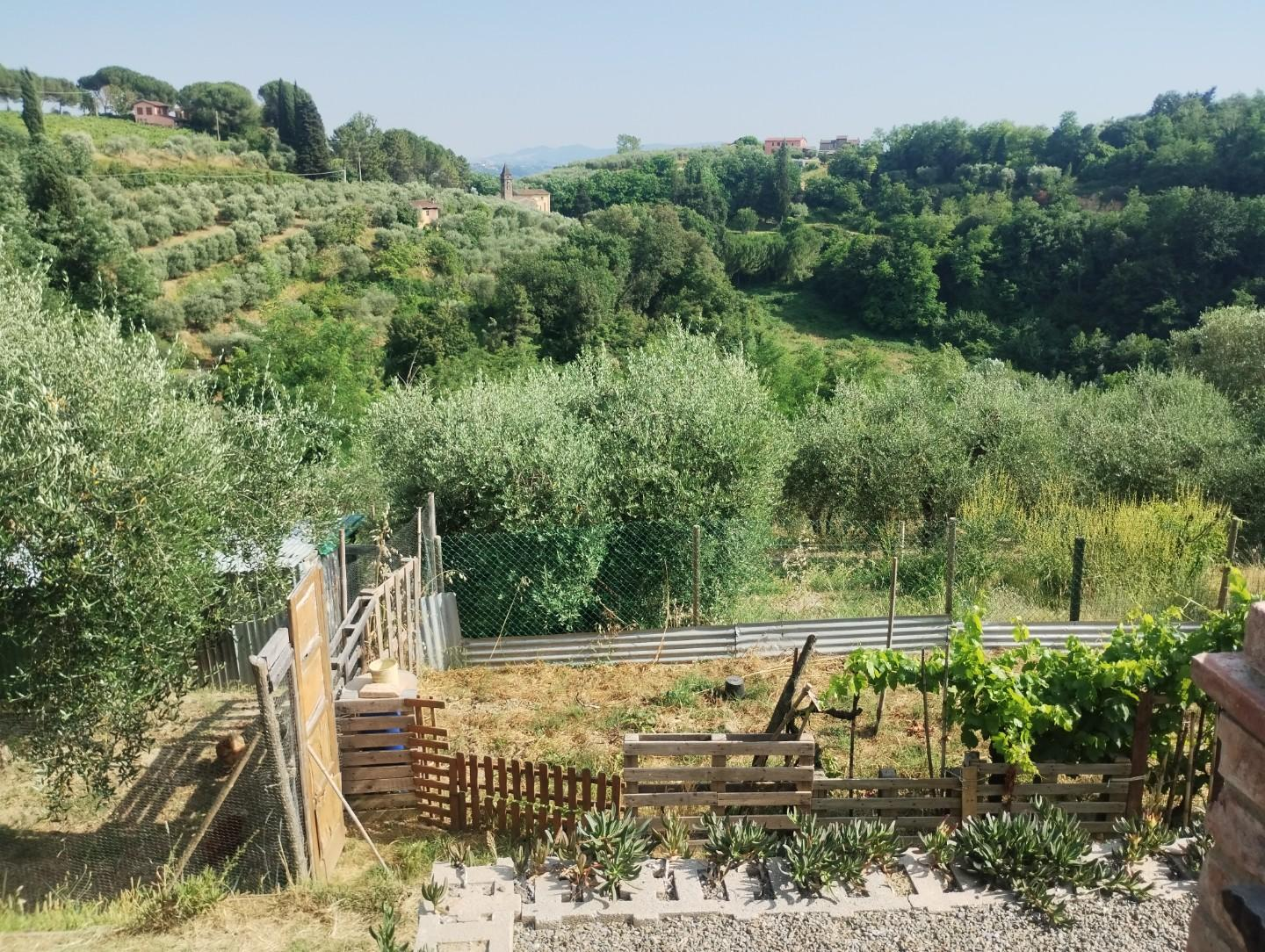 immagine annuncio 2 di 7