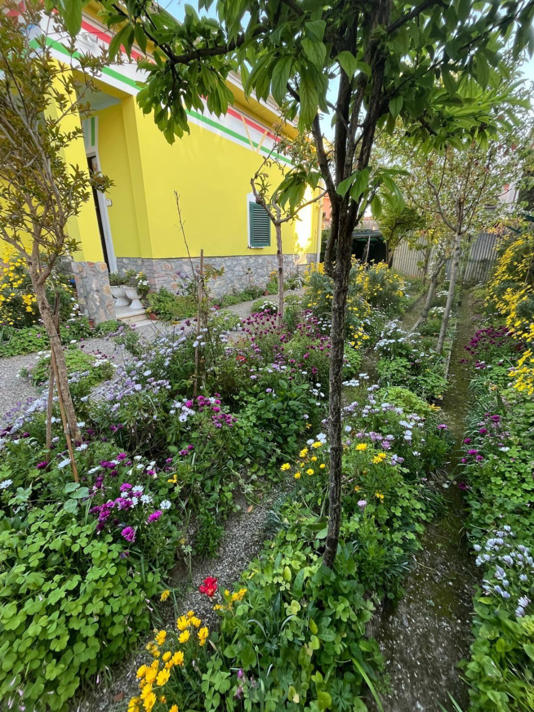 immagine annuncio 3 di 10