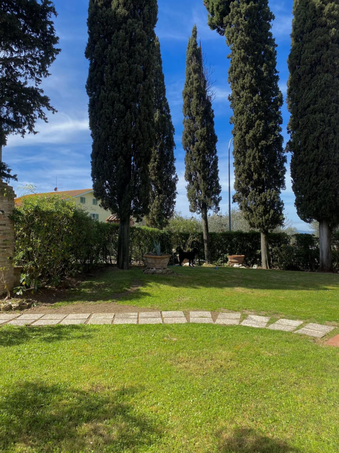 immagine annuncio 6 di 7