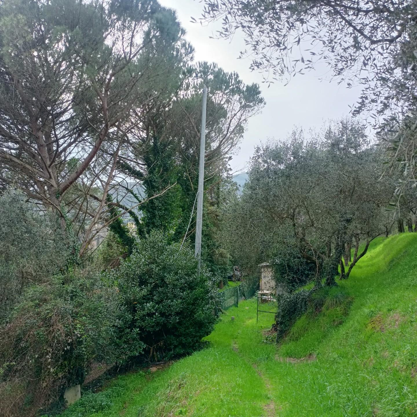 immagine annuncio 6 di 9