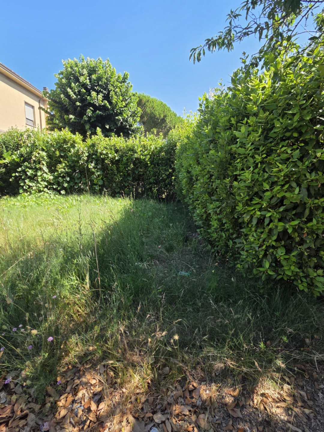 immagine annuncio 8 di 9