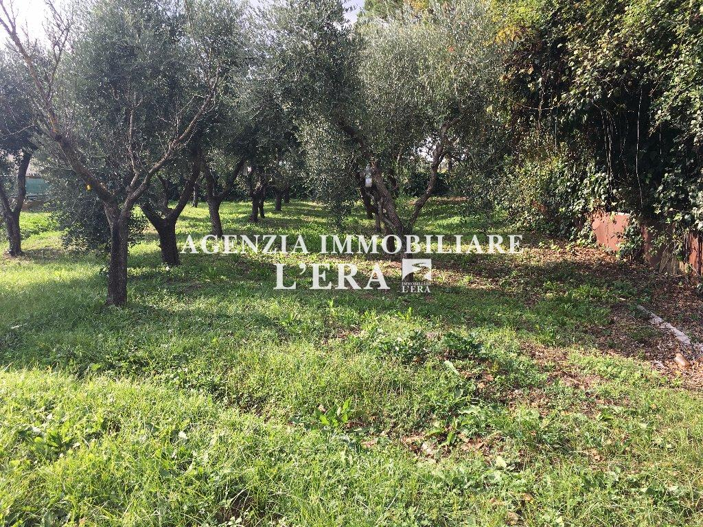 immagine annuncio 6 di 8