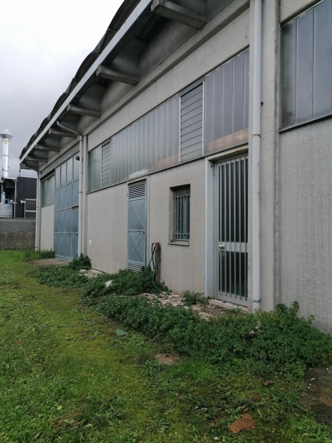 immagine annuncio 2 di 4