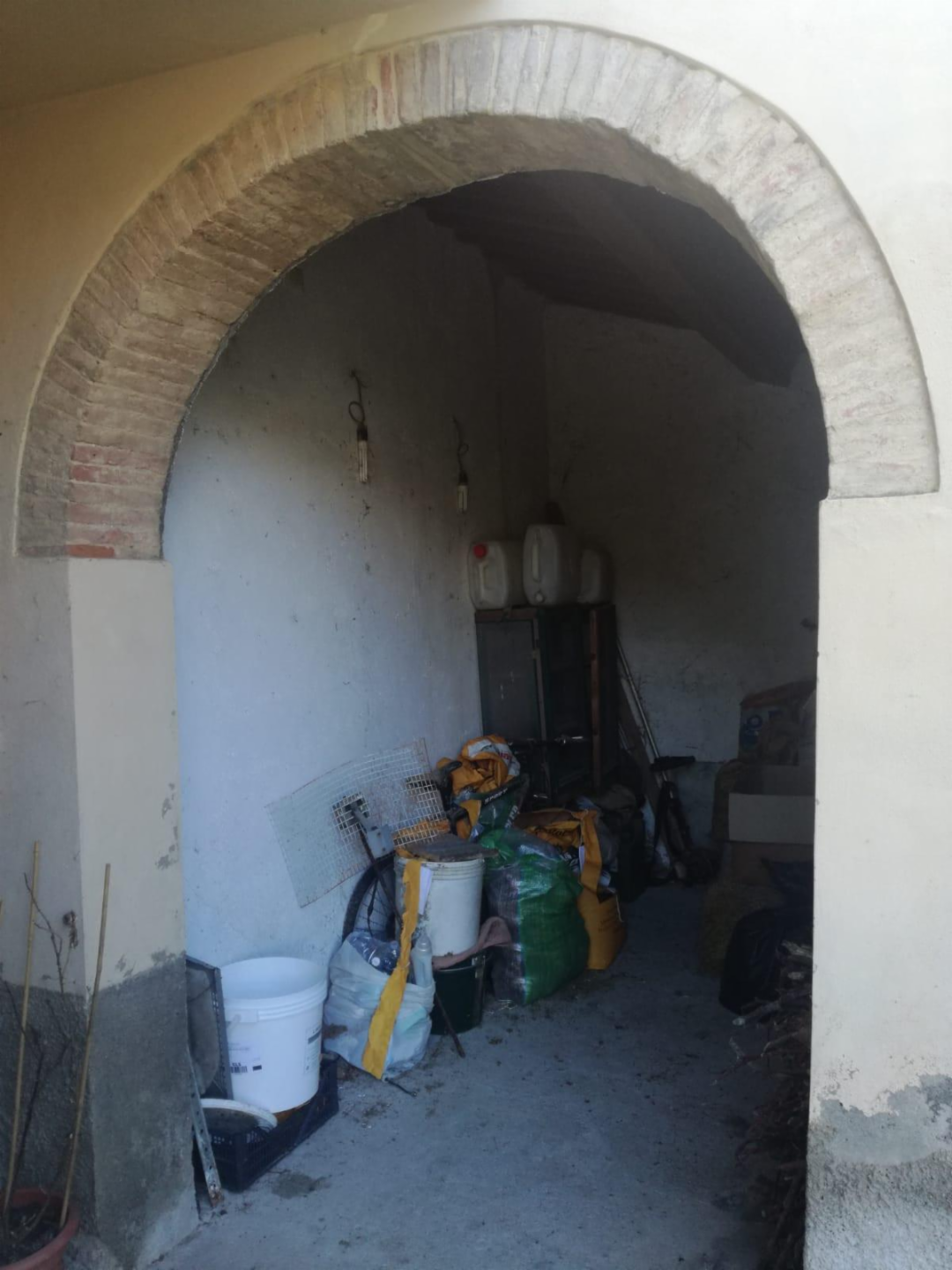 immagine annuncio 7 di 8