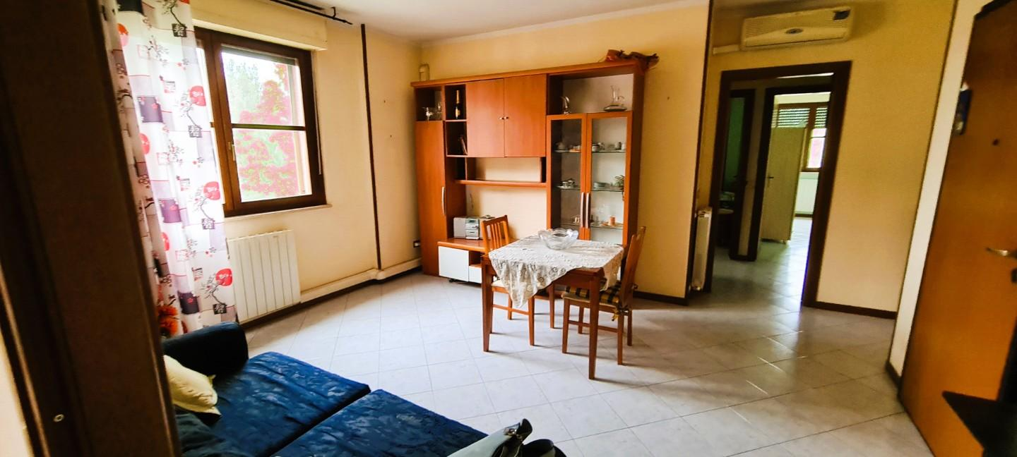 immagine annuncio 3 di 7