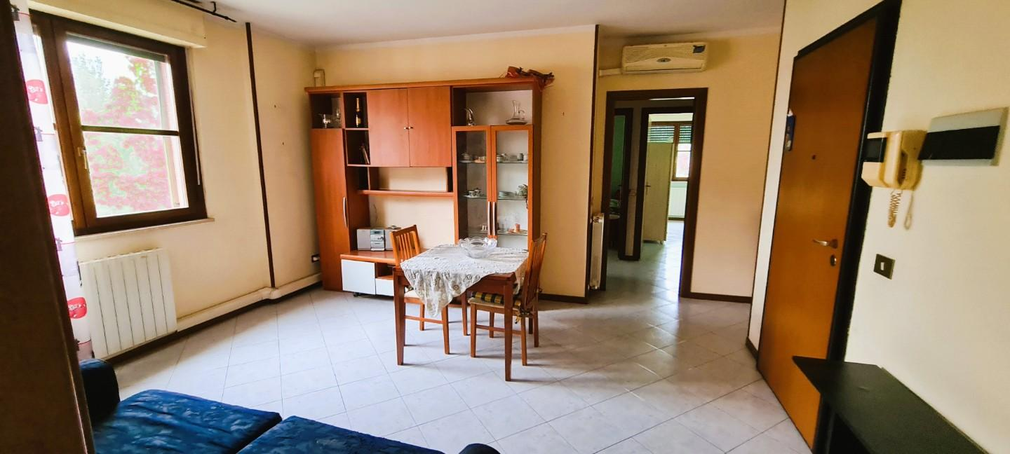 immagine annuncio 1 di 7