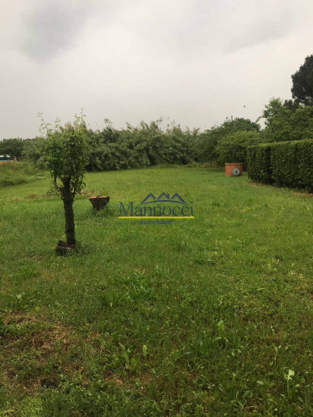immagine annuncio 1 di 7