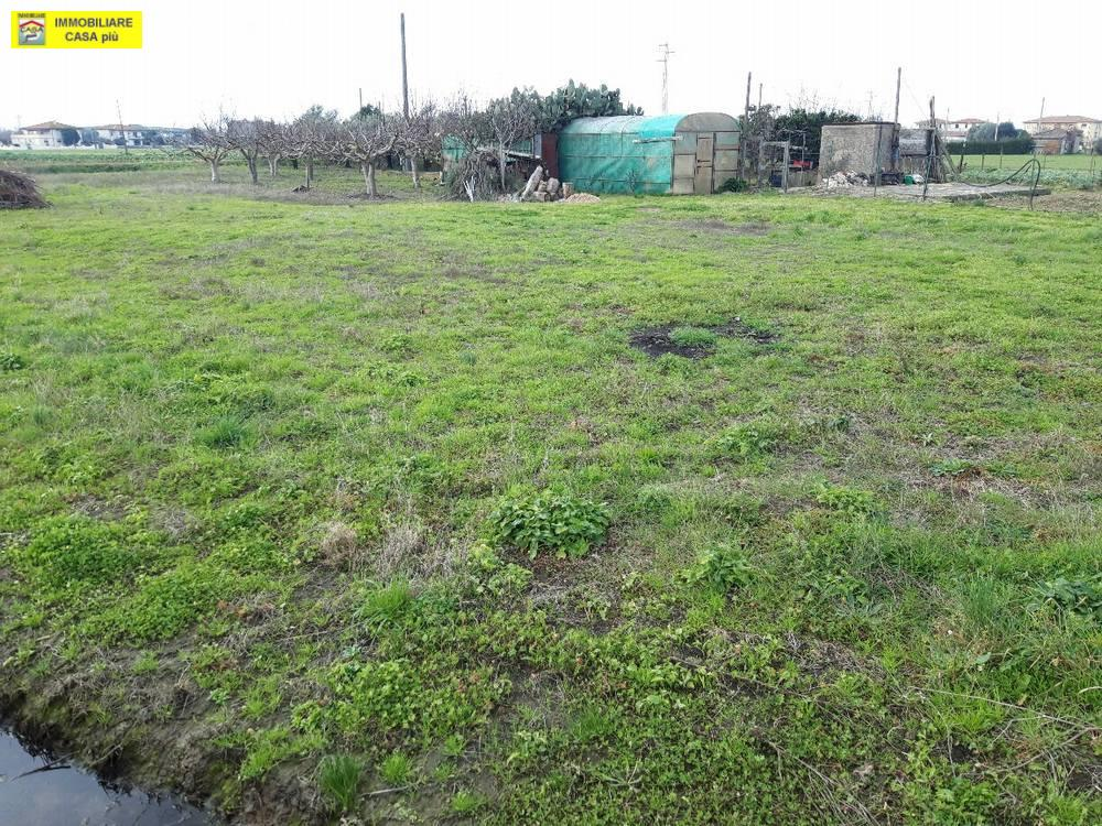 immagine annuncio 1 di 6