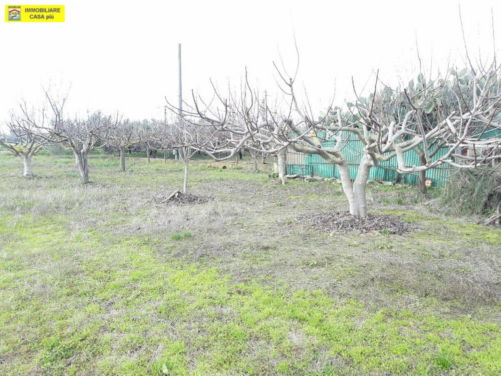 immagine annuncio 2 di 6