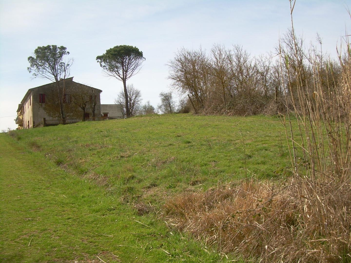 immagine annuncio 3 di 7