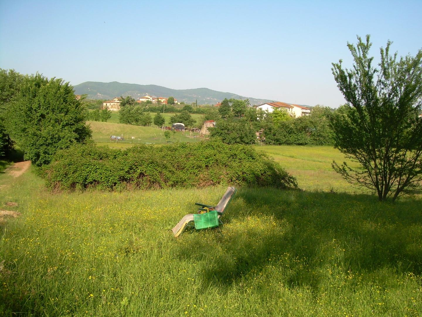 immagine annuncio 6 di 7