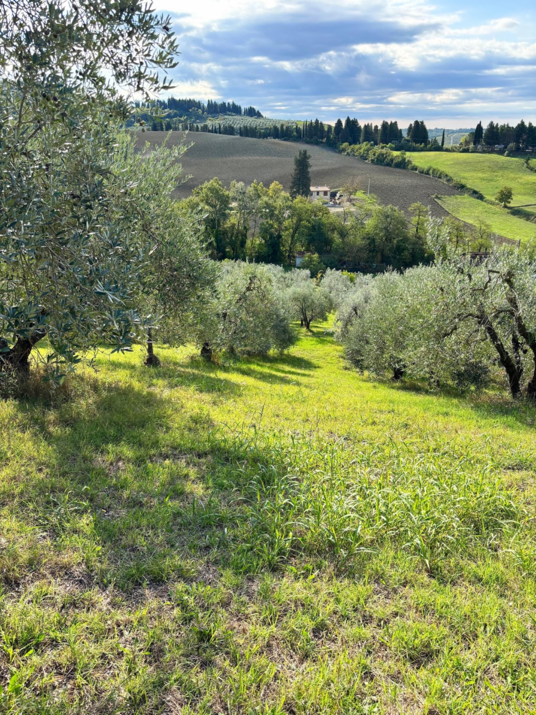 immagine annuncio 5 di 6