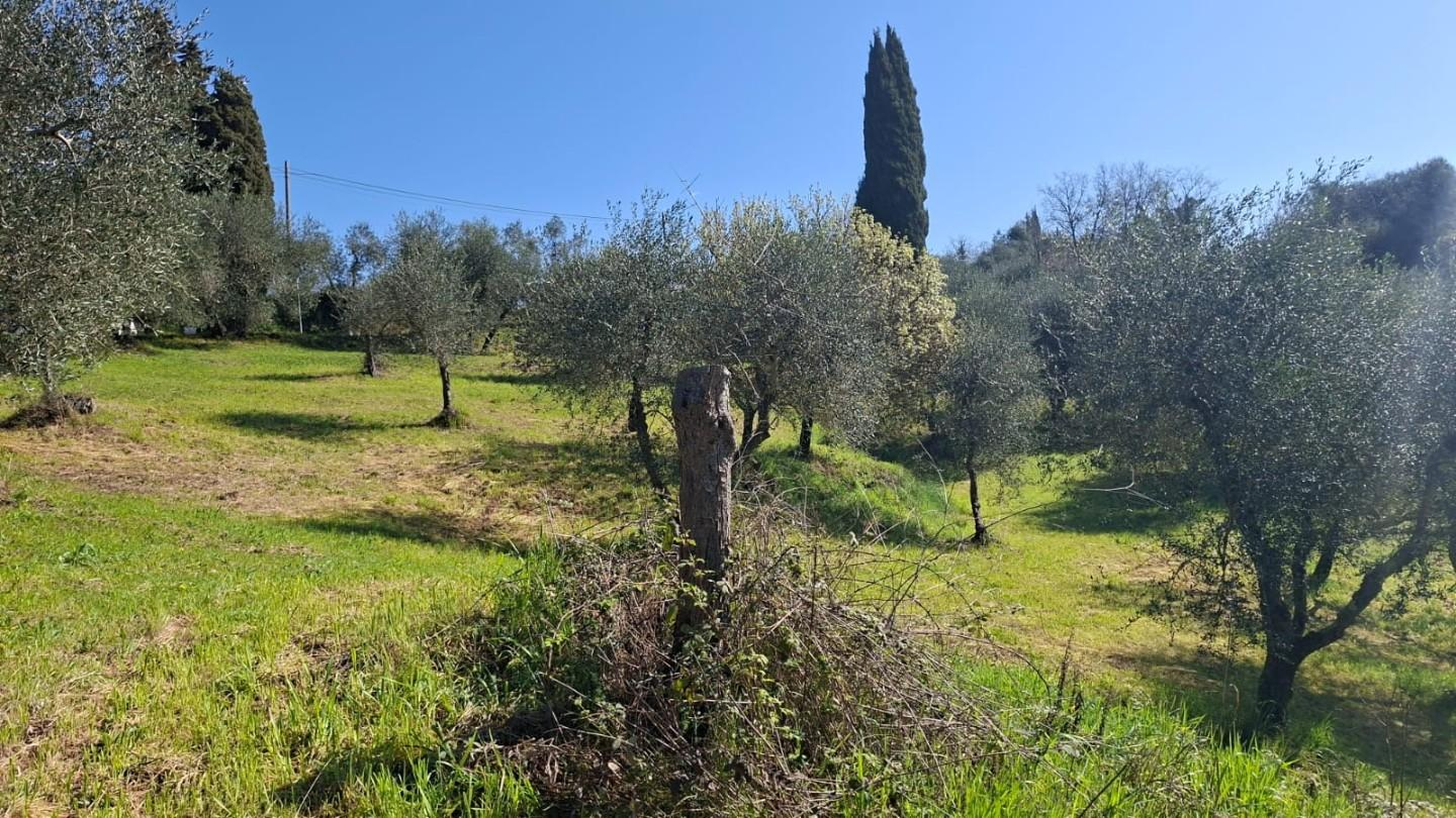 immagine annuncio 3 di 8