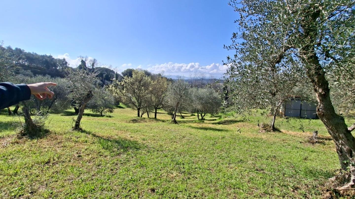 immagine annuncio 6 di 8