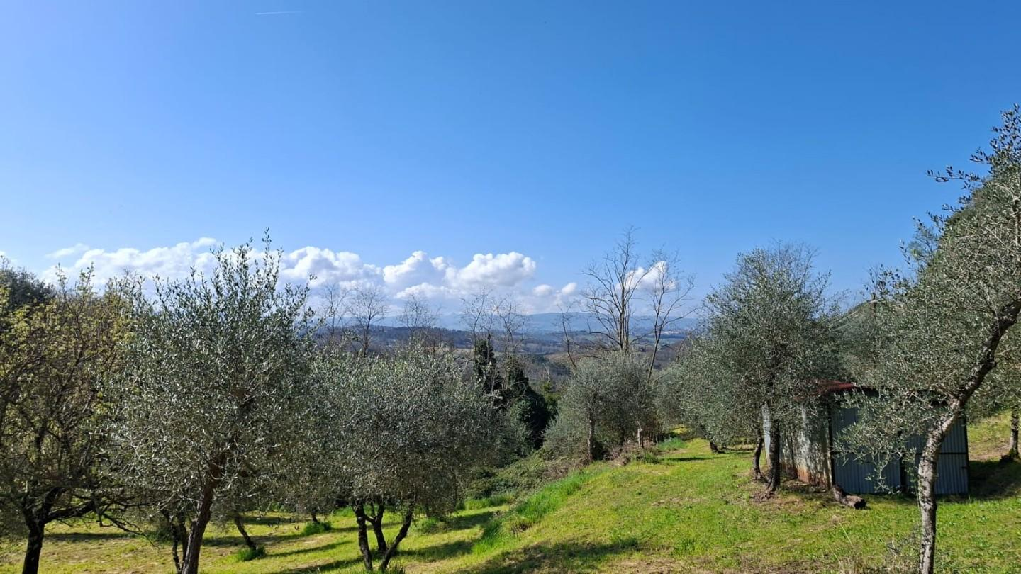 immagine annuncio 4 di 8