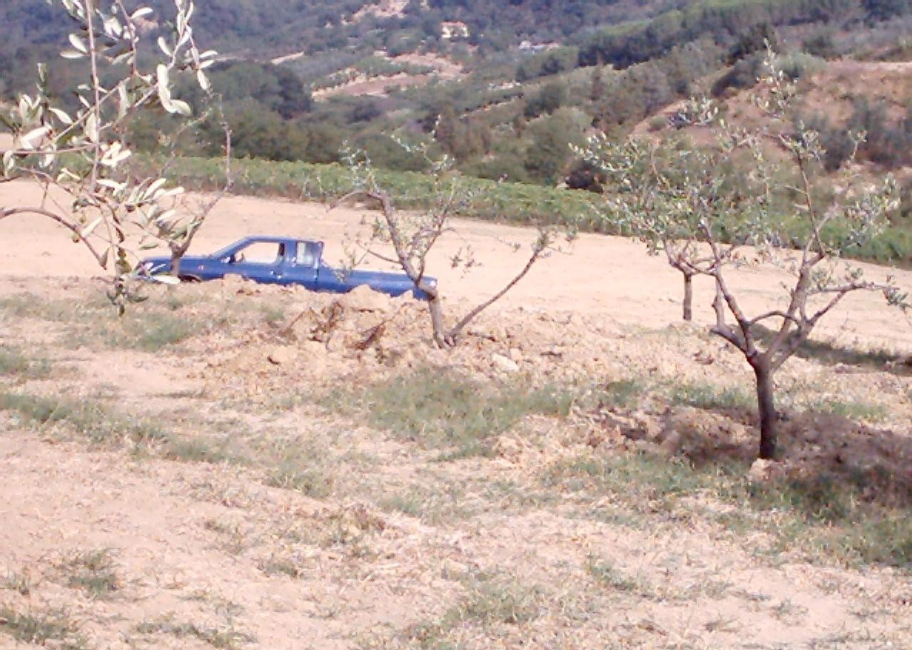 immagine annuncio 1 di 2